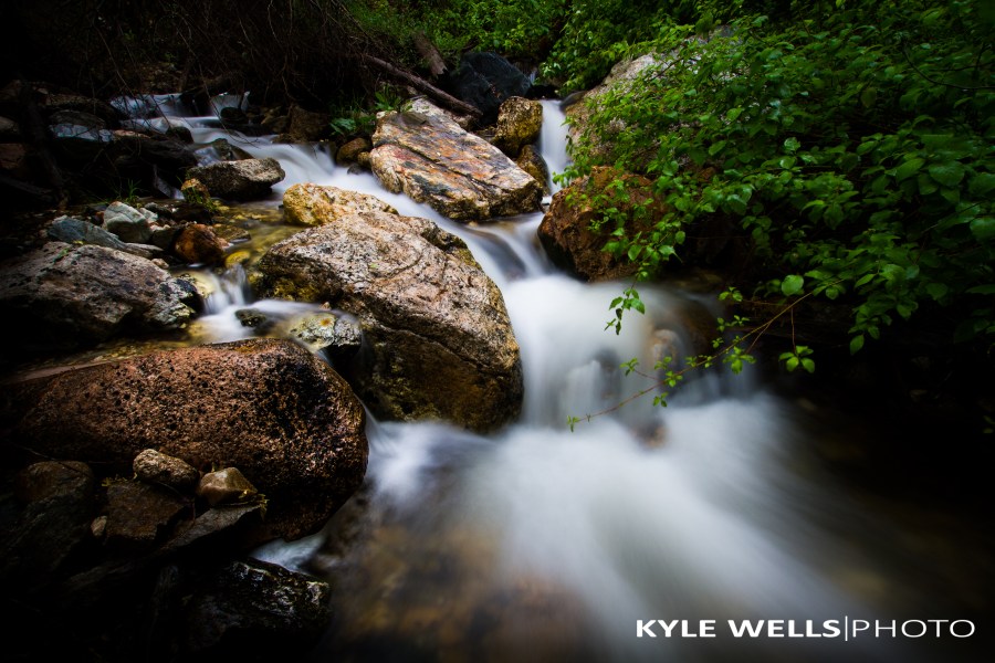 Image courtesy of Kyle Wells Photo © Kyle Wells Photo